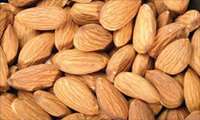 بادام، بهترین ماده غذایی برای زنان باردار در 3 ماه نخست بارداری